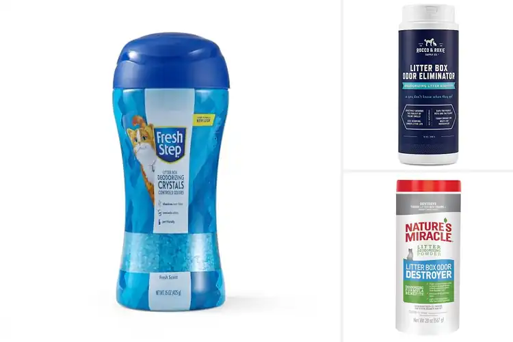 Detailed view of Best Odor Control for Litter Boxes: 10 Fresh Solutions