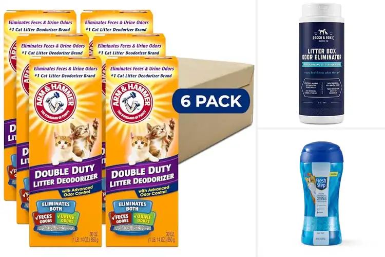 Detailed view of Best Odor Eliminators For Cat Litter Boxes