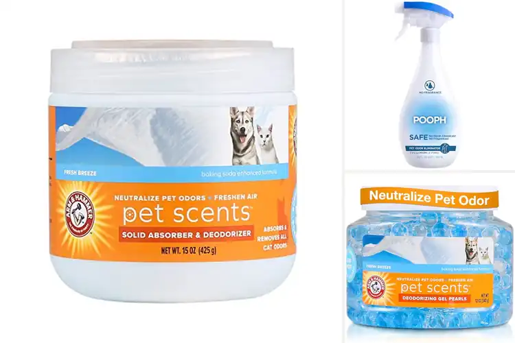 Detailed view of Best Odor Eliminators For Cats: Freshen Your Home Instantly