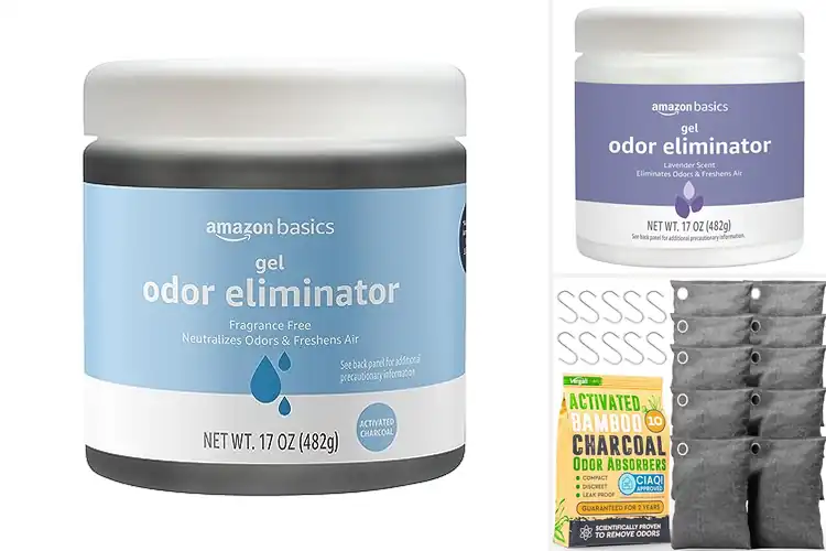 Detailed view of Best Odor Eliminators: 10 Easy Solutions for Fresh Spaces