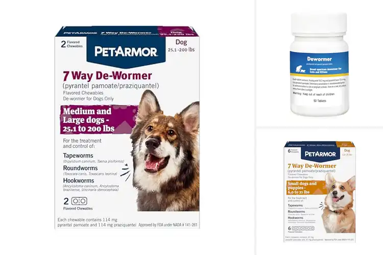 Detailed view of Best Oral Dewormer Tablets: Top 10 for Healthy Pets