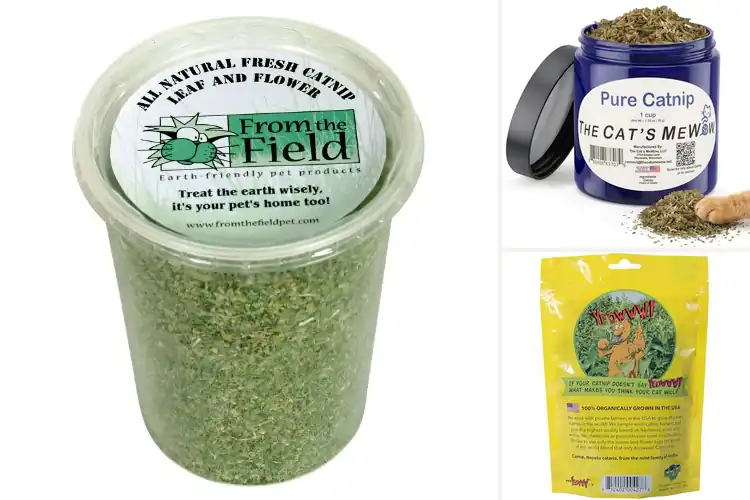 Detailed view of Best Organic Catnip: Top 10 Picks for Ultimate Feline Fun
