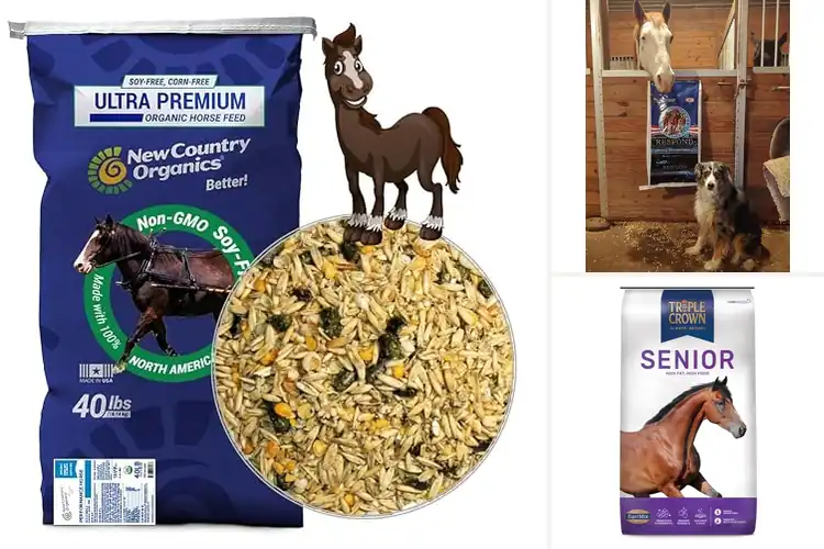 Detailed view of Best Performance Horse Feeds