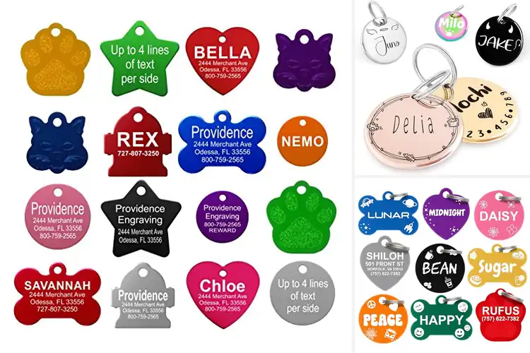Detailed view of Best Personalized Cat Tags: Top 10 Picks for Safety & Style