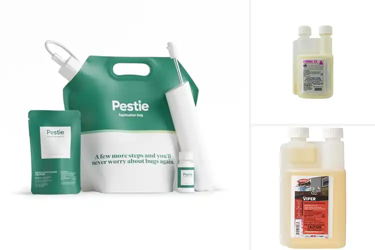 Detailed view of Best Pest Control Solutions: Fast, Lasting & Safe Protection