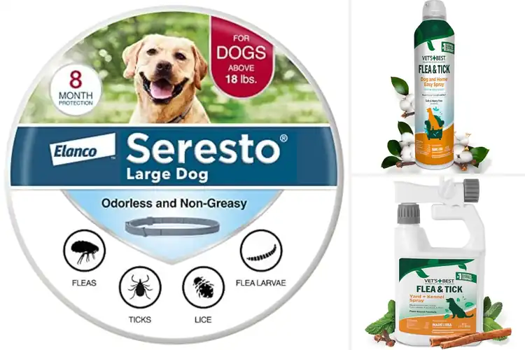 Detailed view of Best Pest Prevention For Dogs