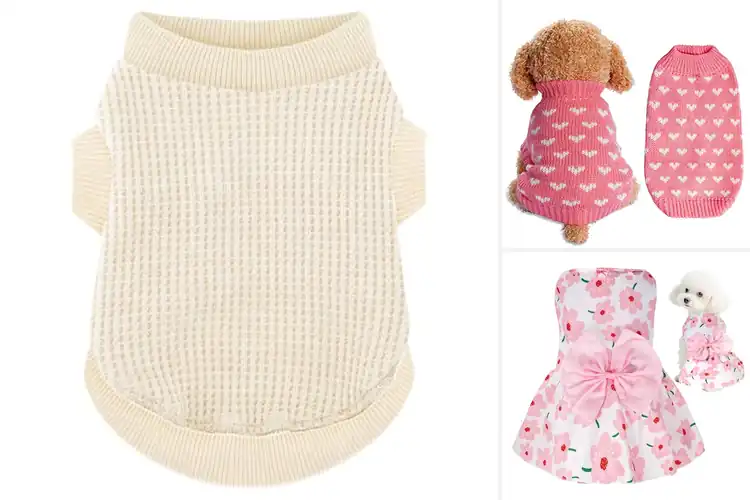 Detailed view of Best Pet Apparel