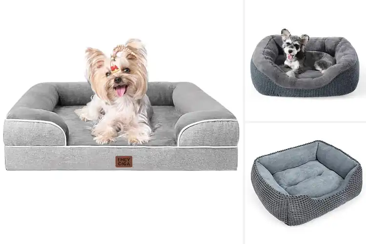 Detailed view of Best Pet Bed For Small To Medium Dogs