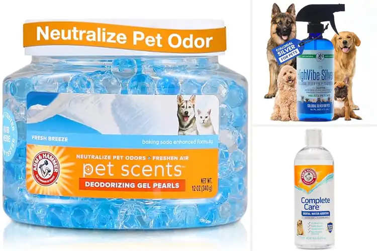 Detailed view of Best Pet Care Options