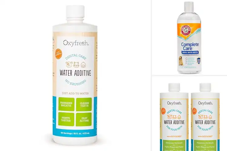 Detailed view of Best Pet Care Solutions