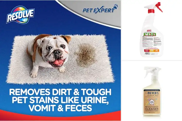 Detailed view of Best Pet Cleaning Supplies