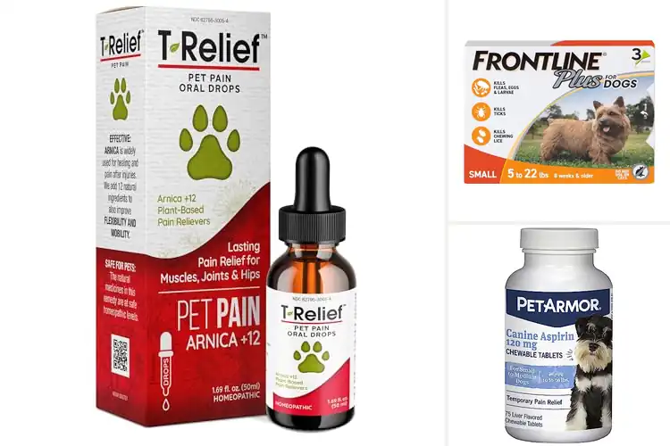 Detailed view of Best Pet Medications: Top 10 Must-Have Solutions for Health
