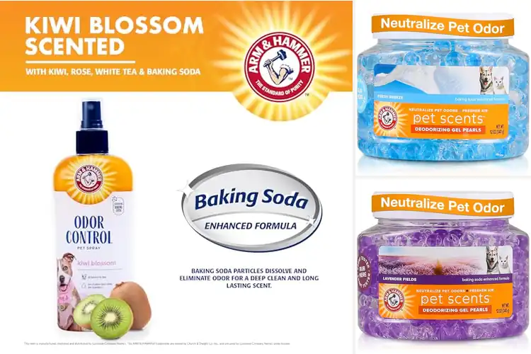 Detailed view of Best Pet Odor Control Products