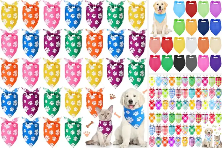 Detailed view of Best Pet Scarves