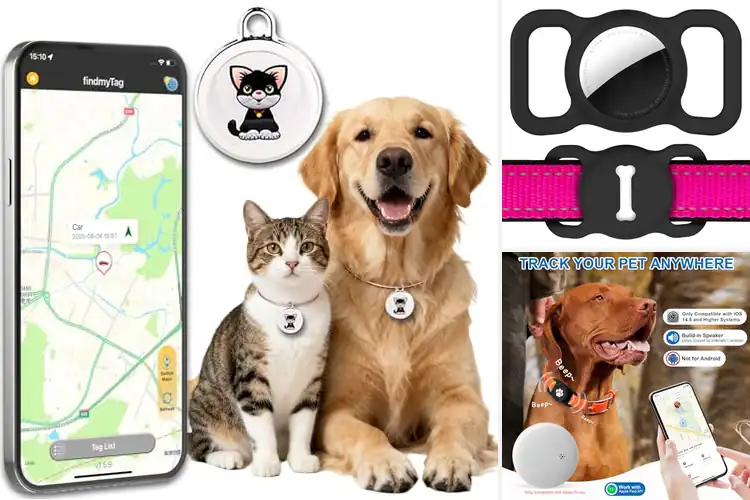 Detailed view of Best Pet Trackers: Top 10 Picks for Peace of Mind & Safety