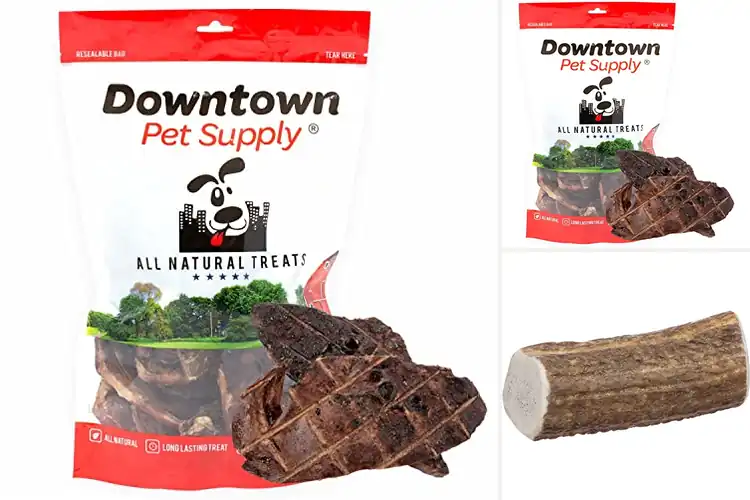 Detailed view of Best Phosphorus Rich Dog Treats: 10 Tasty Health Boosters