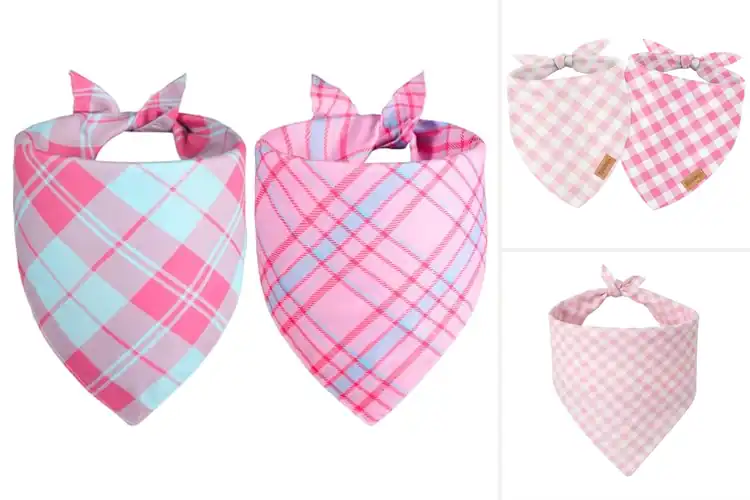 Detailed view of Best Pink Dog Bandanas