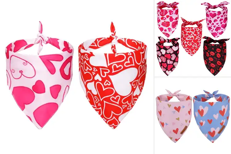 Detailed view of Best Pink Heart Bandanas For Pets
