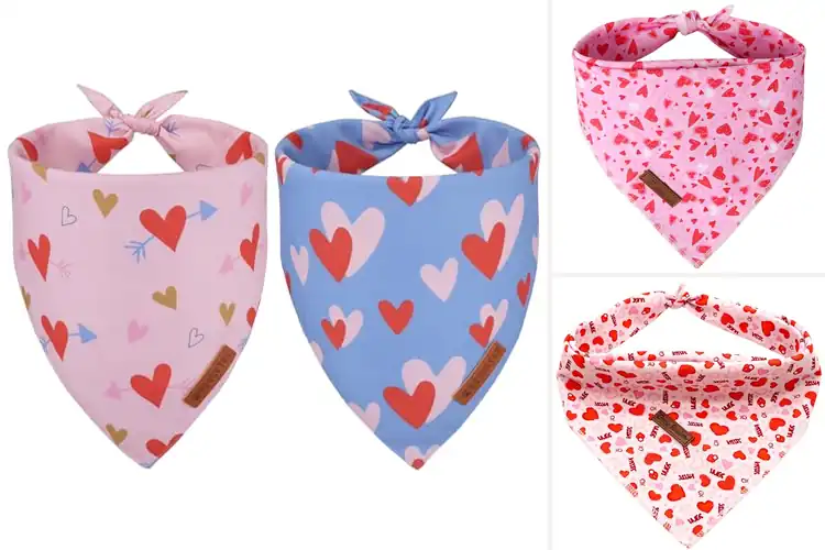 Detailed view of Best Pink Heart Dog Bandanas