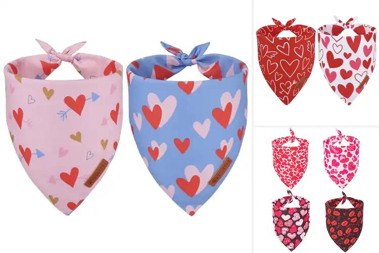 Detailed view of Best Pink Heart Pet Scarves