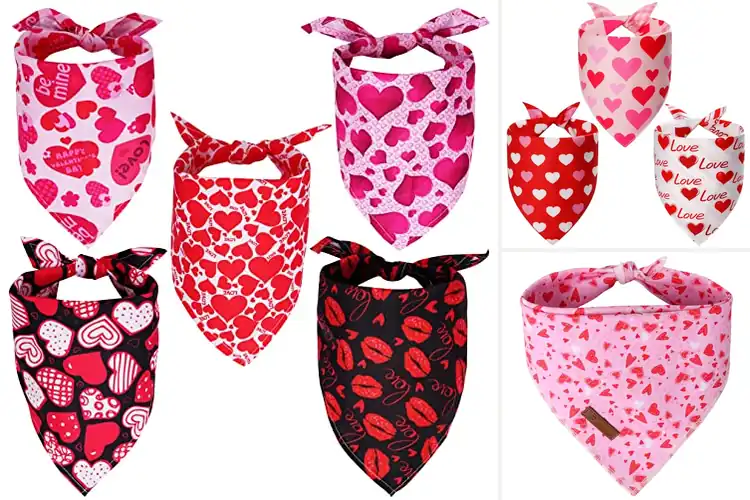 Detailed view of Best Pink Heart Valentine Bandana: Adorable Pet Style Guide