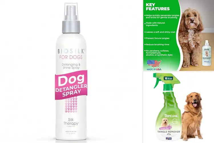 Detailed view of Best Poodle Detanglers: Smooth, Shiny Coats Made Easy