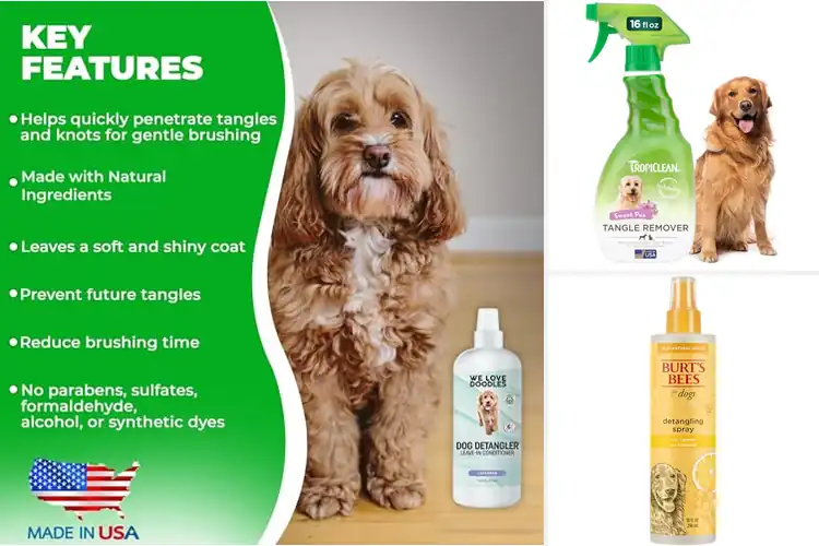 Detailed view of Best Poodle Dog Detanglers: Tangle-Free Coats