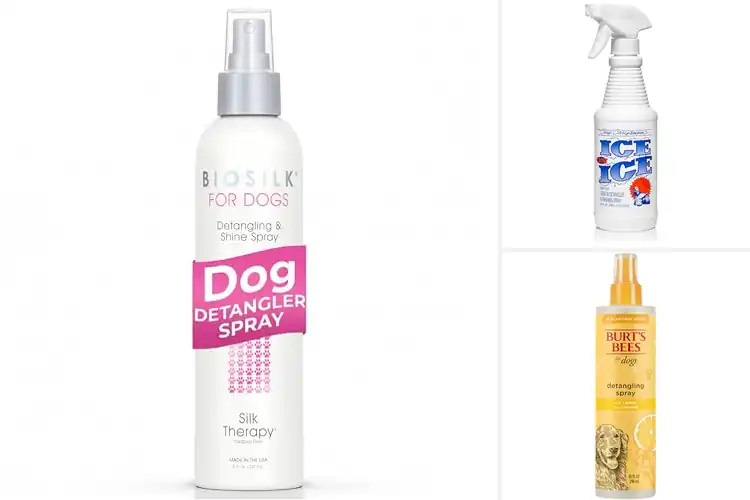 Detailed view of Best Poodle Grooming Sprays: Top 10 for a Silky, Shiny Coat
