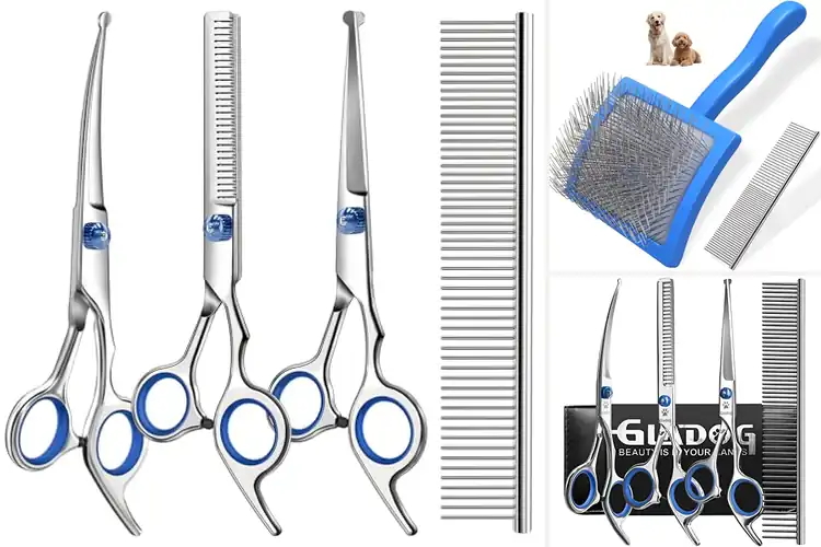 Detailed view of Best Poodle Grooming Supplies