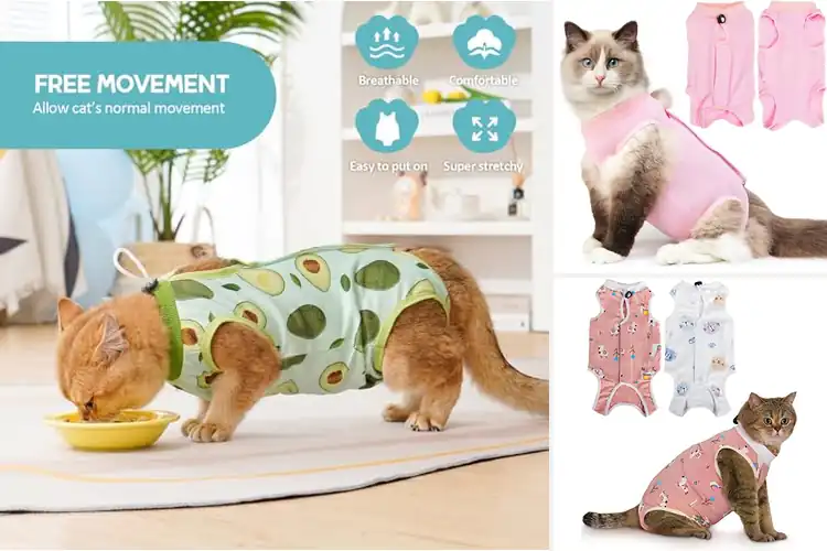 Detailed view of Best Post-Surgery Cat Suits: Top 10 for Safe, Comfy Healing