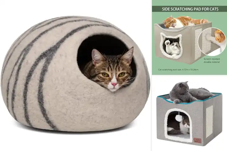 Detailed view of Best Premium Cat Houses for Indoor Cats