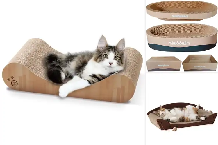 Detailed view of Best Premium Cat Scratcher Beds