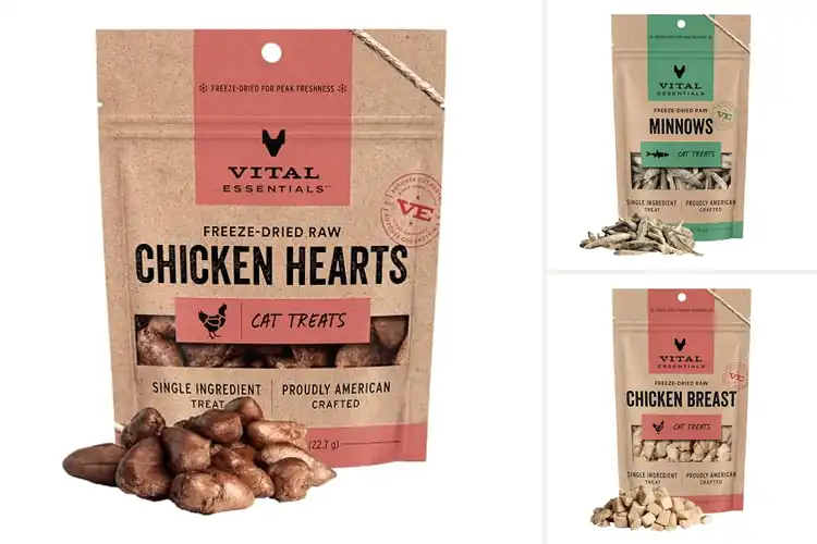 Detailed view of Best Premium Cat Treat Ingredients