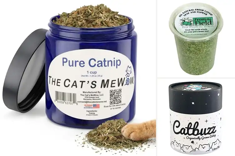Detailed view of Best Premium Catnip: Thrill Your Cat Safely with Top Picks