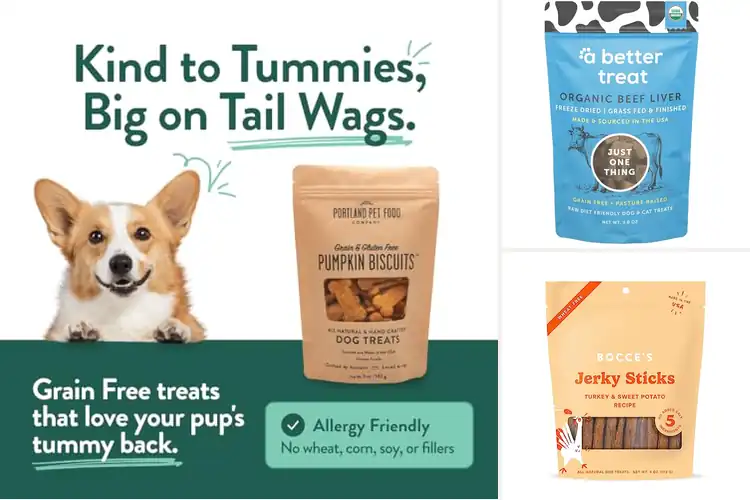Detailed view of Best Preservative Free Dog Treats: Healthy, Happy Pups