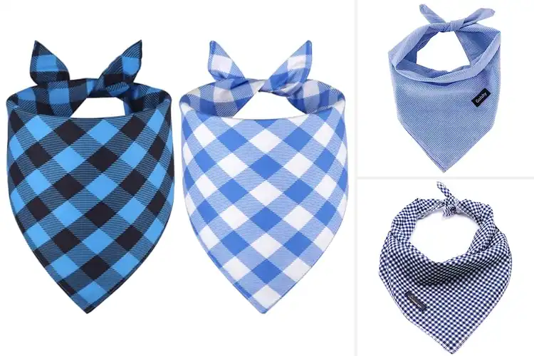 Detailed view of Best Puppy Bandanas for Boys
