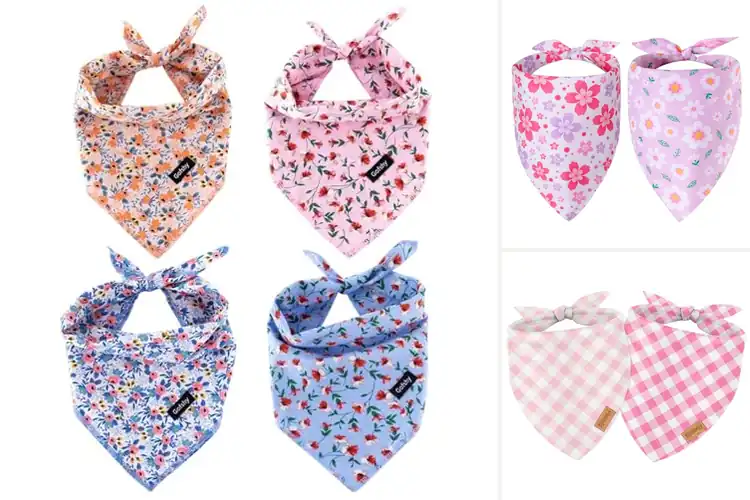 Detailed view of Best Puppy Bandanas for Girls: Top 10 Stylish & Comfy Picks