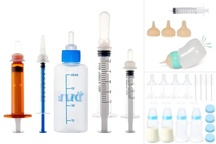 Detailed view of Best Puppy Feeding Bottles: Top Picks for Healthy Growth