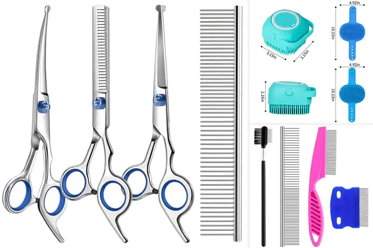 Detailed view of Best Puppy Grooming Essentials