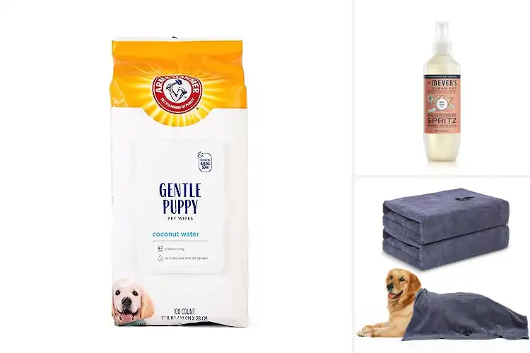 Detailed view of Best Puppy Grooming Products