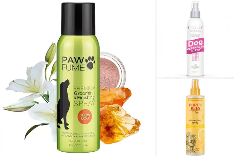 Detailed view of Best Puppy Grooming Sprays