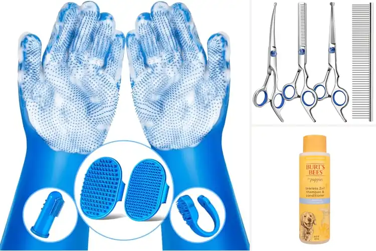 Detailed view of Best Puppy Grooming Supplies