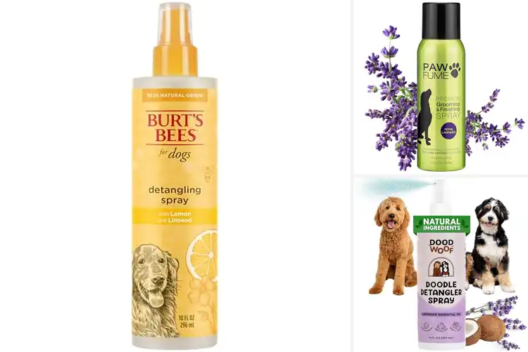 Detailed view of Best Puppy Safe Detangler Spray