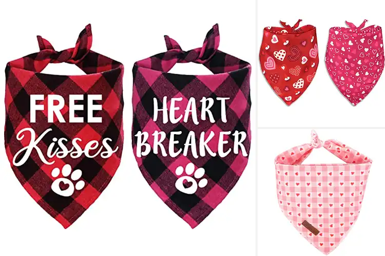 Detailed view of Best Puppy Valentine Bandanas