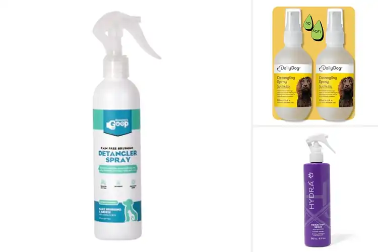 Detailed view of Best Quick-Apply Detangler For Daily Grooming