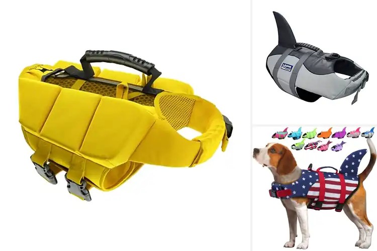 Detailed view of Best Quick-Dry Mesh Dog Life Vest For Comfort