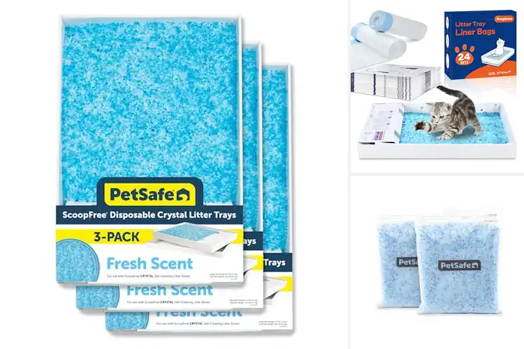 Detailed view of Best Quick Install Litter Box Refills