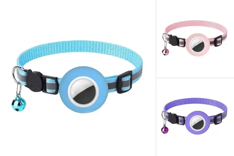 Detailed view of Best Quick Release Cat Buckle Trackers