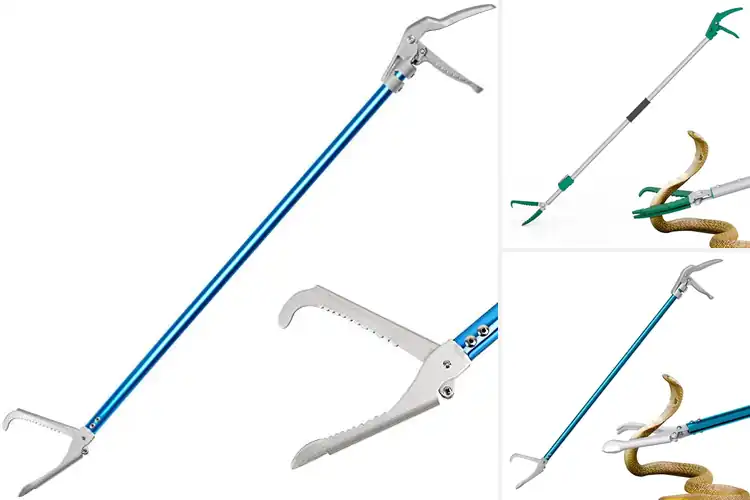 Detailed view of Best Rattle Snake Catchers