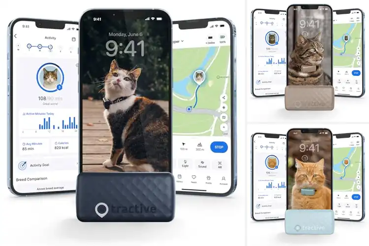 Detailed view of Best Real Time GPS Cat Tracker